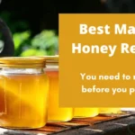 Top 10 manuka honey brands compared: the best manuka honey in 2026