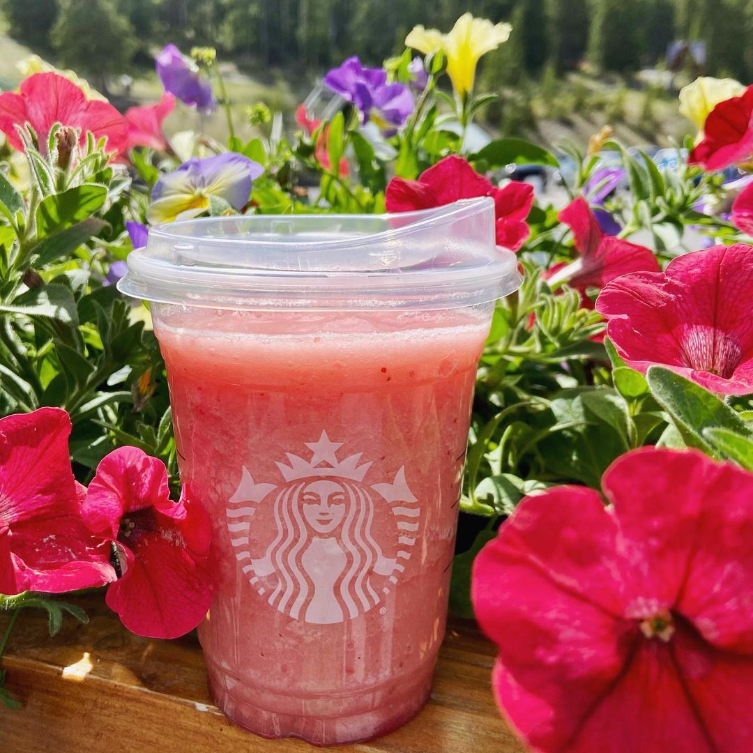 Is Starbucks Blended Strawberry Lemonade Vegan