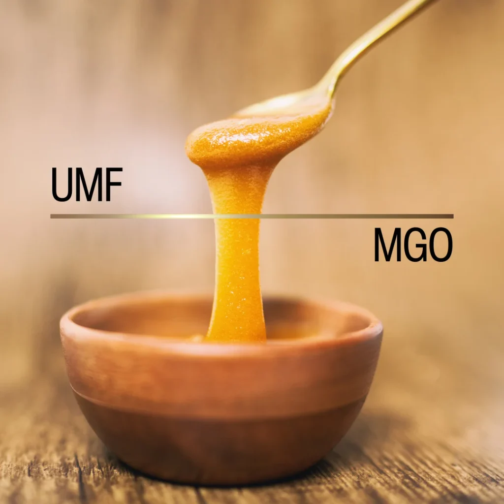 UMF vs MGO 